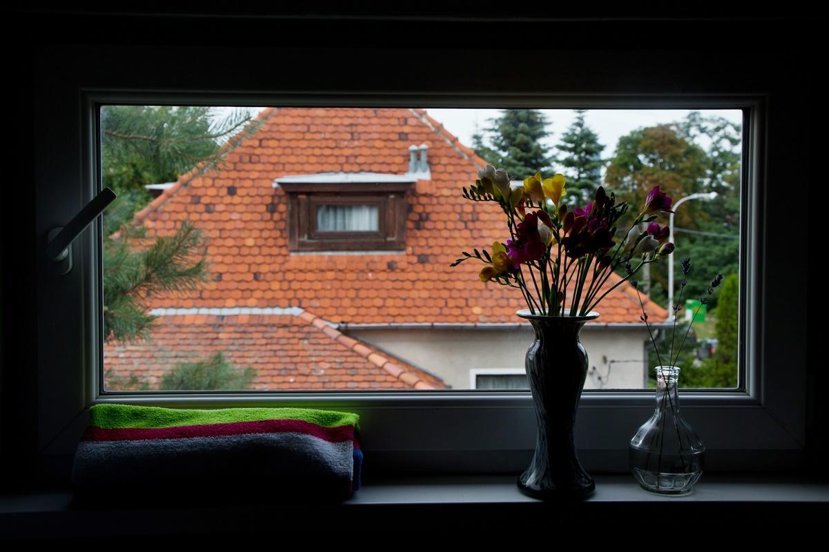 Easy Rider Hostel Vratislav Exteriér fotografie